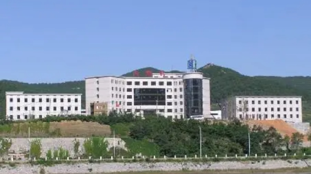 大连电机集团有限公司