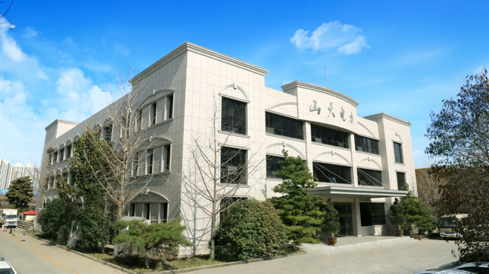山东山大电力技术股份有限公司