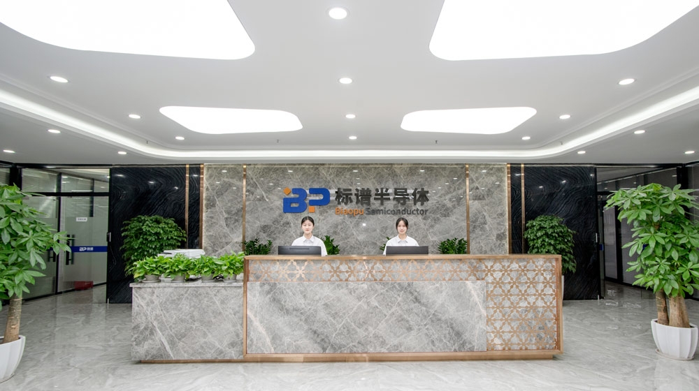 深圳市标谱半导体股份有限公司