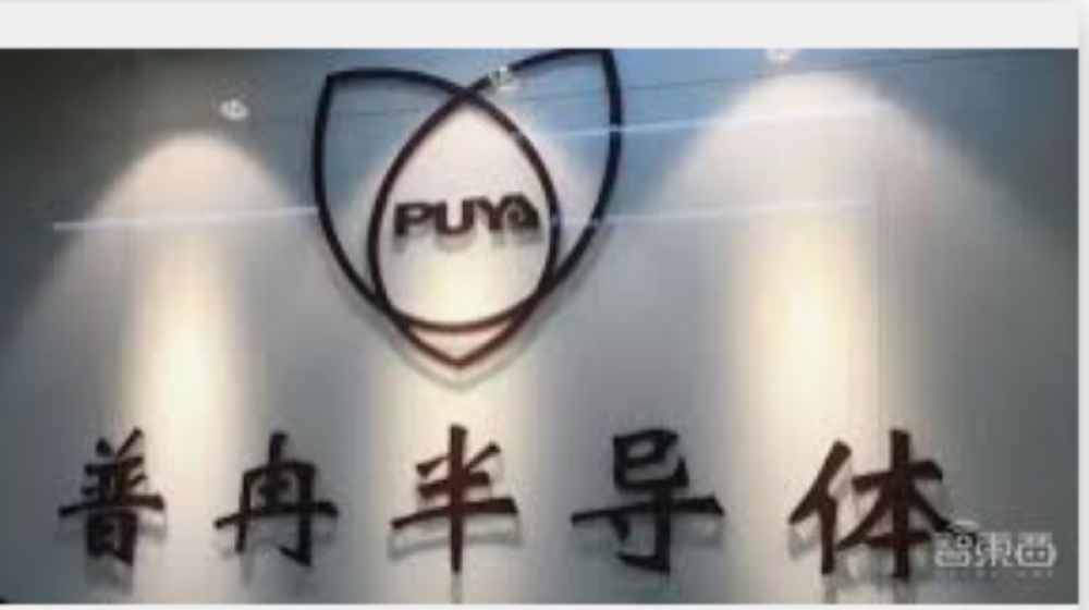 普冉半导体（上海）股份有限公司