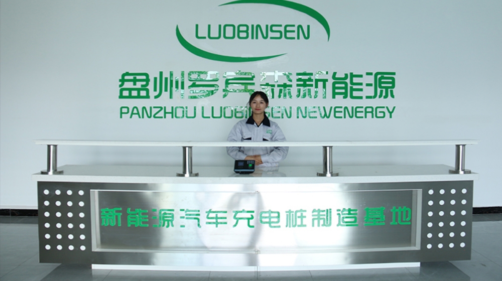 盘州罗宾森新能源科技有限公司 盘州罗宾森新能源科技有限公司