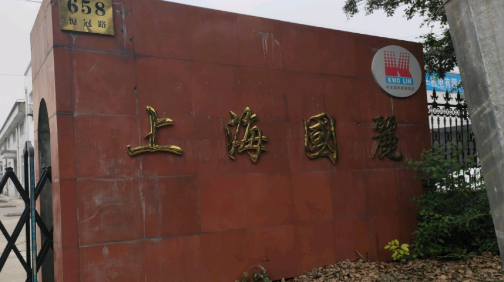上海国丽电子科技有限公司