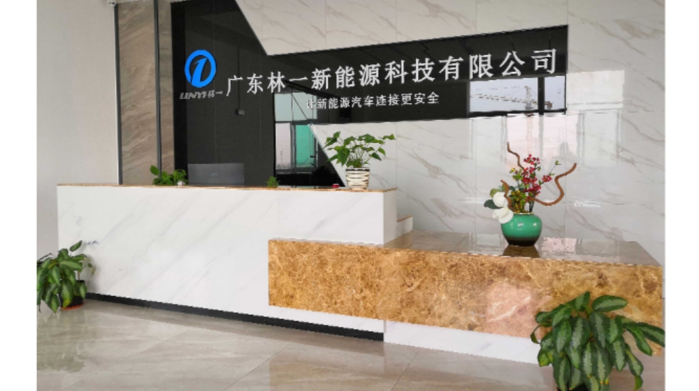 广东林一新能源科技有限公司