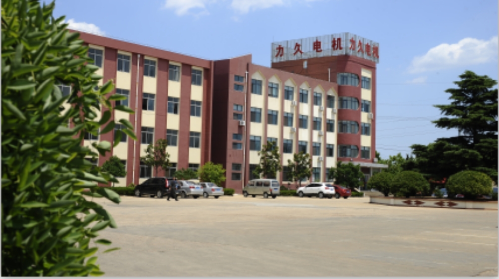 山东力久特种电机股份有限公司
