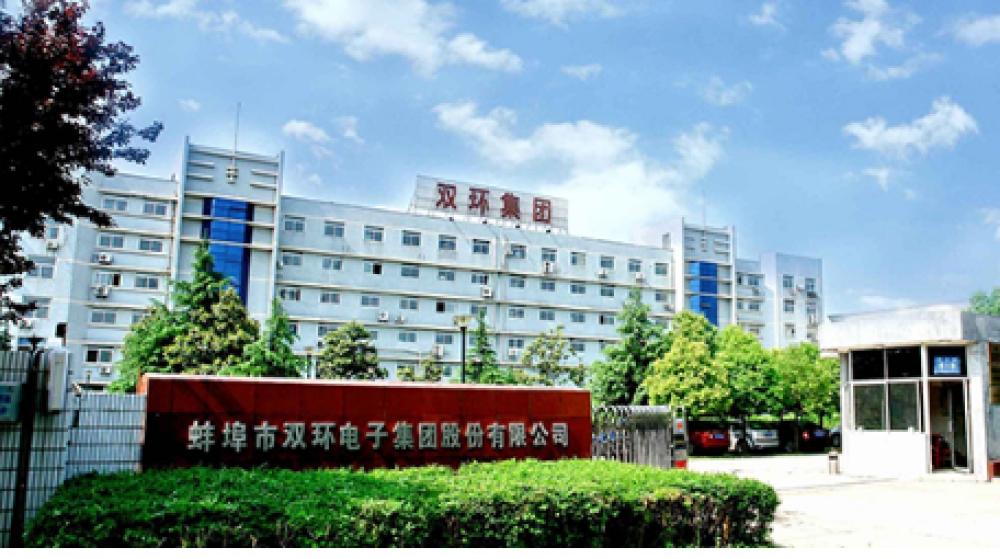 蚌埠市双环电子集团股份有限公司