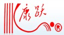 长江医药控股股份有限公司