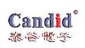 广州市泰谷汽车电子有限公司