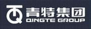 青岛青特铸造有限公司