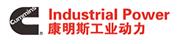 广西康明斯工业动力有限公司