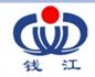 杭州钱江摩擦材料有限公司
