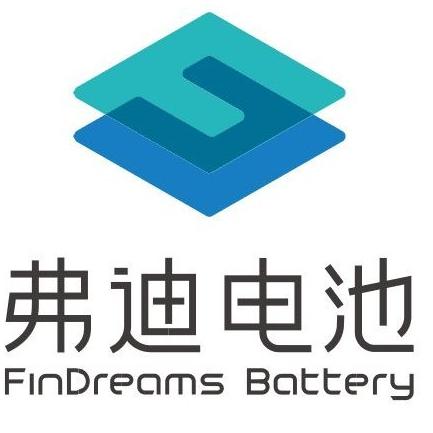济南弗迪电池有限公司