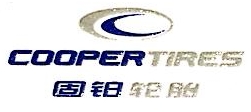 固铂轮胎（中国）投资有限公司