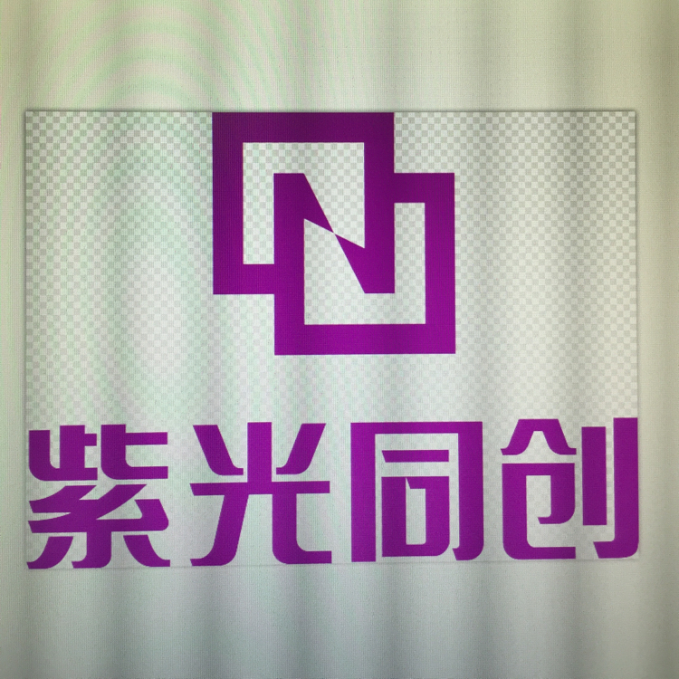 深圳市紫光同创电子股份有限公司