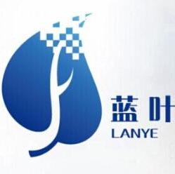 上海蓝叶信息科技有限公司