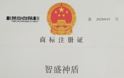山东智盛电子器件有限公司